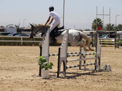 البطولة الوطنية الكبرى للقفز على الحواجز بوهران