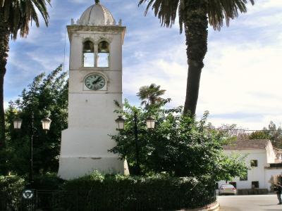 مليانة
