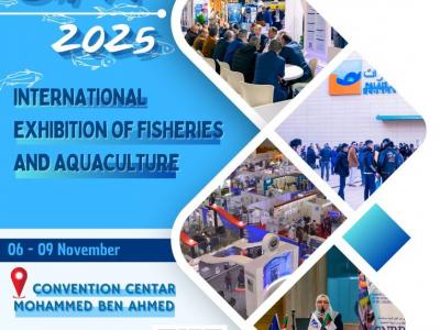 سيبا2025