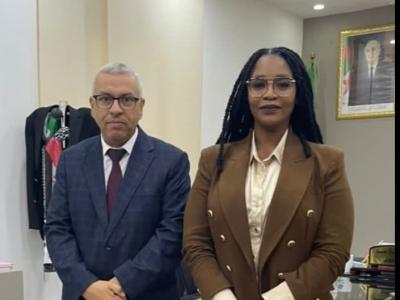 التجارة البينية الإفريقية: بحث التعاون الجزائري الجنوب إفريقي في مجال التبادل الثقافي والفني