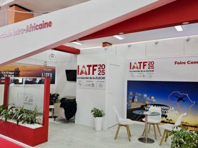 IATF-programme