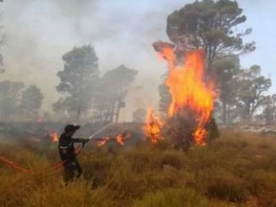 incendie-tizi-ouzou.png