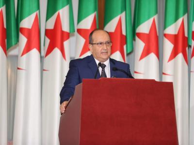 الوزير الأول: المجلس الوطني الاقتصادي والاجتماعي والبيئي مدعو لتقديم مقترحات عملية لإثراء السياسات العمومية