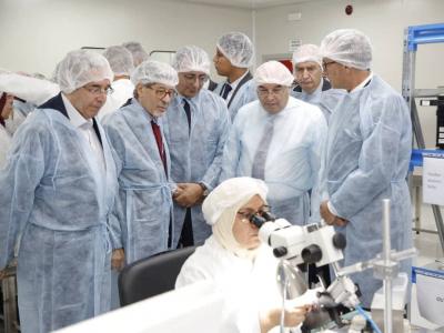 وسيم قويدري