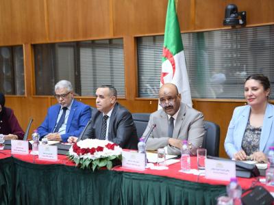 تطوير الطاقات المتجددة ورفع حصتها في المزيج الطاقوي الوطني له طابع الأولوية