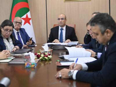 شايب يشرف على لقاء افتراضي مع مجموعة من الكفاءات الوطنية المقيمة  بالدول الاسكندنافية 