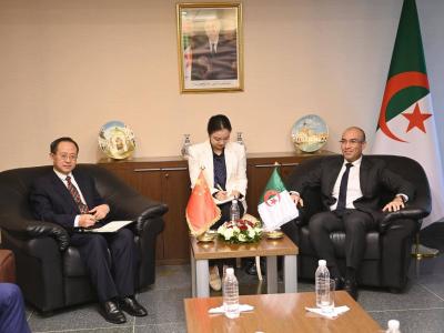 سفيان شايب استقبال