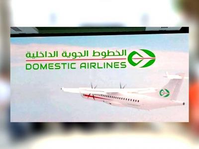 Domestic Airlines