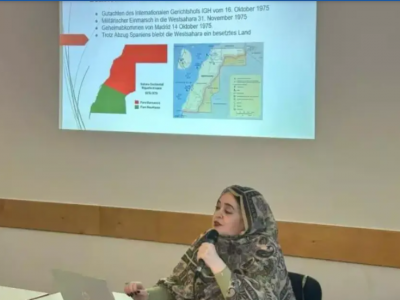 الصحراء الغربية