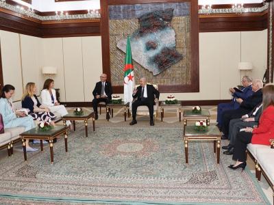 تبون سلوفينيا 