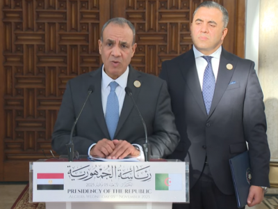 بدر عبد العاطي