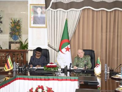 الفريق أول شنقريحة يستقبل وزيرة الدفاع وقدماء المحاربين لجمهورية زيمبابوي 