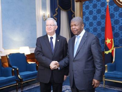 ناصري انغولا