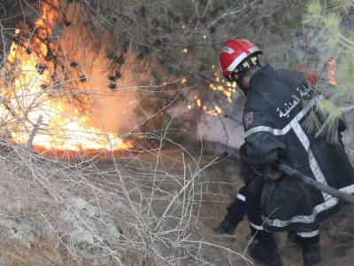 حماية مدنية