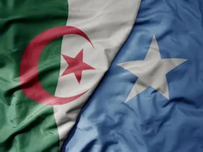 الجزائر-الصومال: إرادة سياسية قوية لإضفاء ديناميكية جديدة على علاقات  التعاون الثنائي
