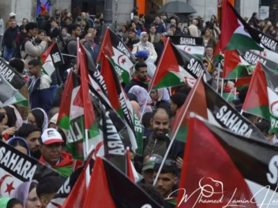 الصحراء الغربية