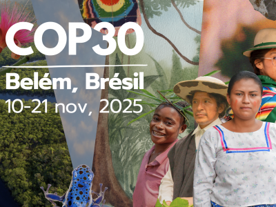cop30-belem-bresil-06.11.25.png