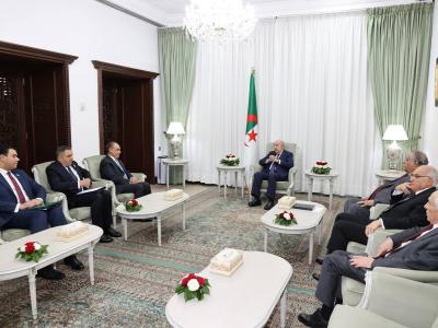 رئيس الجمهورية يستقبل وزير الخارجية المصري 