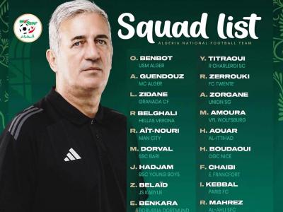 فلاديمير بيتكوفيتش