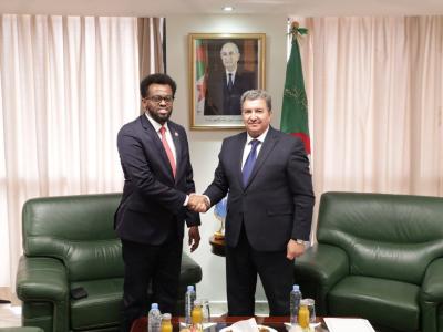 زهير بوعمامة