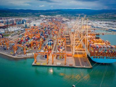 كنان الجزائر