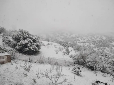 تساقط الثلوج 