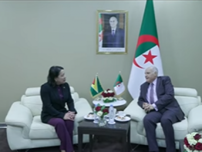 وزير الشؤون الخارجية يستقبل السفيرة والمندوبة الدائمة لدولة غويانا لدى منظمة الأمم المتحدة