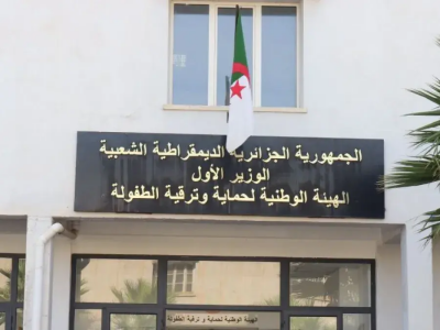 الهيئة الوطنية لترقية وحماية الطفولة 