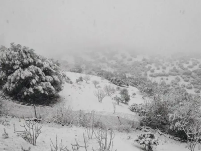 ثلوج مرتقبة بولايات الوطن 