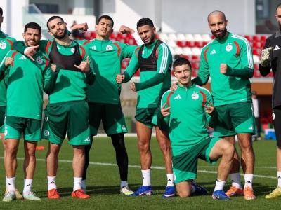 تحضيرات الخضر للفهود  