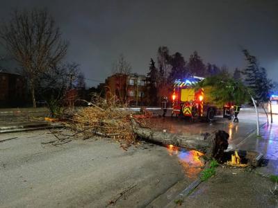 تقلبات جوية