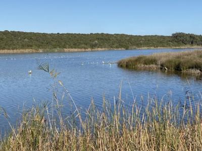 المناطق الرطبة