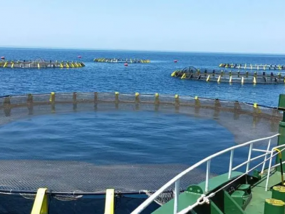 تربية المائيات بالجزائر 