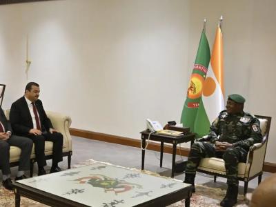 الجزائر النيجر