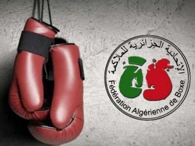 boxe-federation_algerienne-20.02.26.jpg