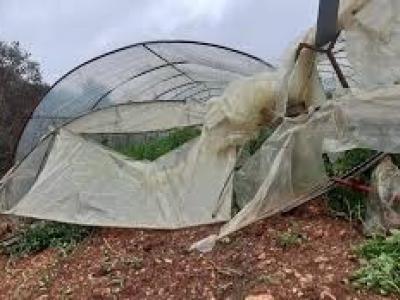 تعويض فلاحين