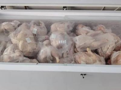 Mise en marché progressive d'une quantité importante de poulet  congelé au prix de 330 DA/KG 