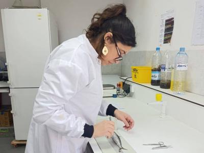 المركز الوطني للبحث والتنمية في الصيد البحري وتربية المائيات 