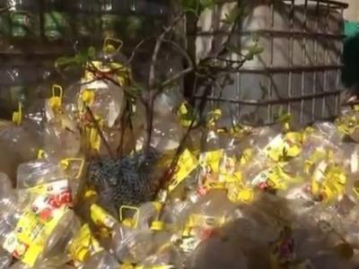  زيت المائدة المدعم 