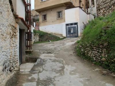 ولاية تيزي وزو