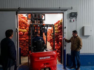Déstockage pomme de terre