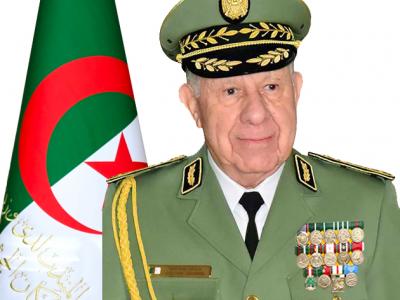 الفريق أول السعيد شنقريحة يهنئ الفريق الوطني العسكري للعدو الريفي