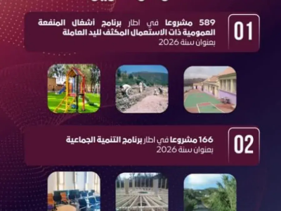 إطلاق أزيد من 580 مشروعًا يسمح باستحداث أزيد من 5800 منصب شغل مؤقت