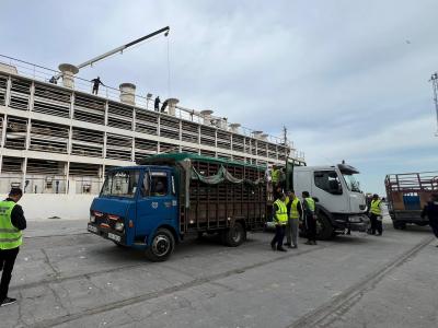 ميناء مستغانم