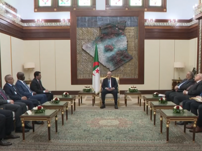 رئيس الجمهورية 