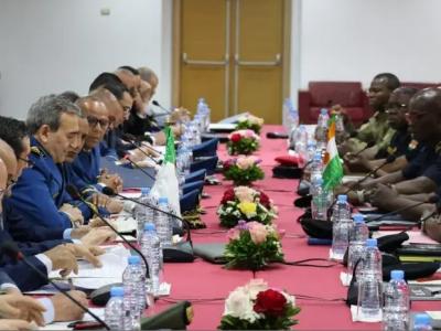 الجزائر النيجر 