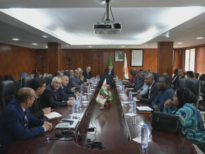 الجزائر النيجر