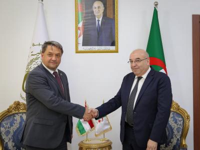 الجزائر والمجر 