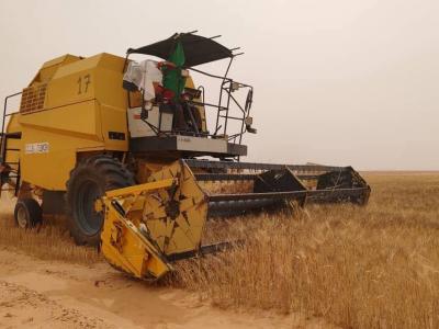agri-dz-it-15.05.26.jpg