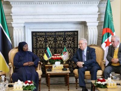  ناصري يستقبل رئيسة جمعية جمهورية موزمبيق 